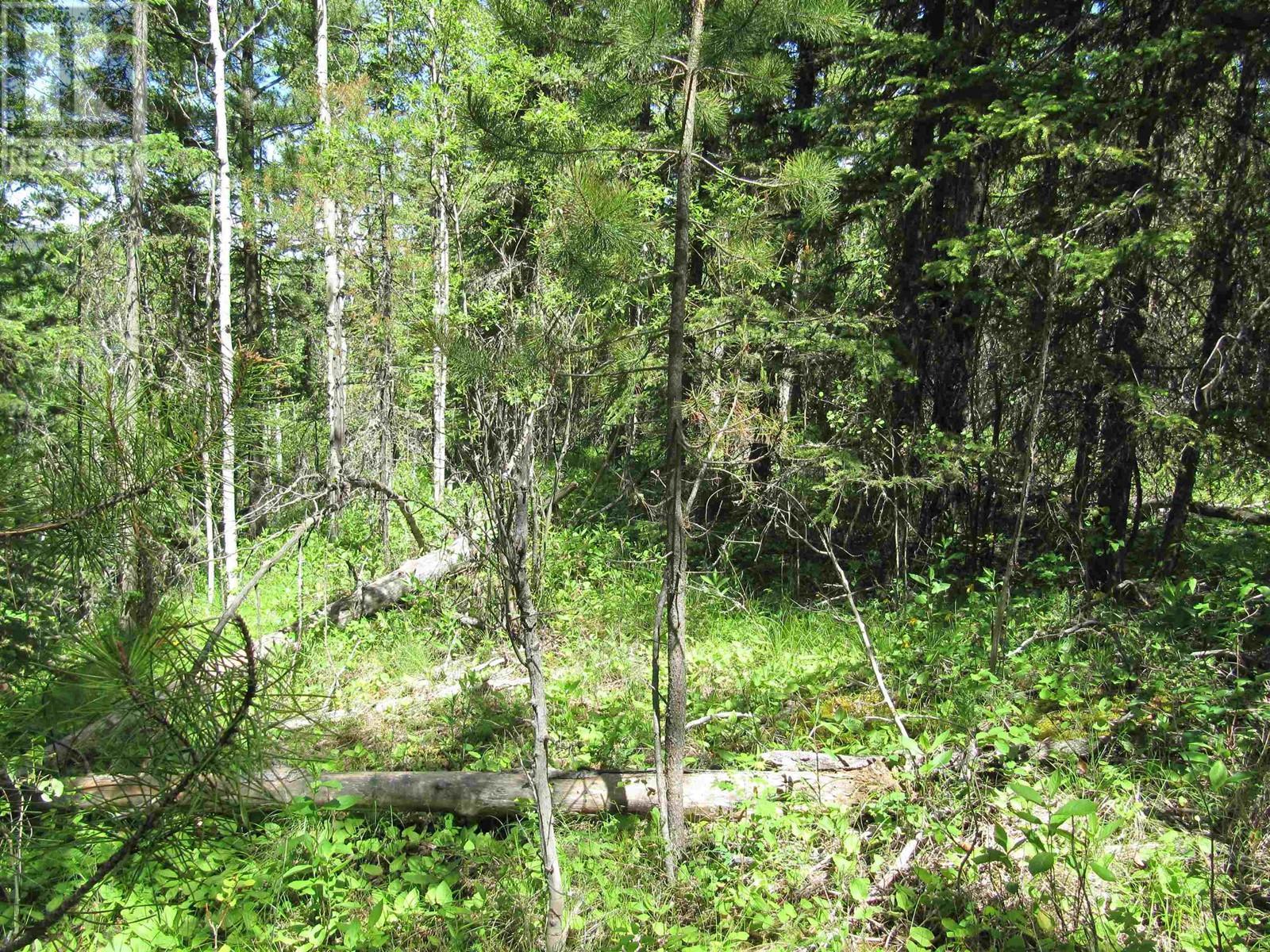 Lots 29 & 30 Mulligan Drive, 100 Mile House, BC