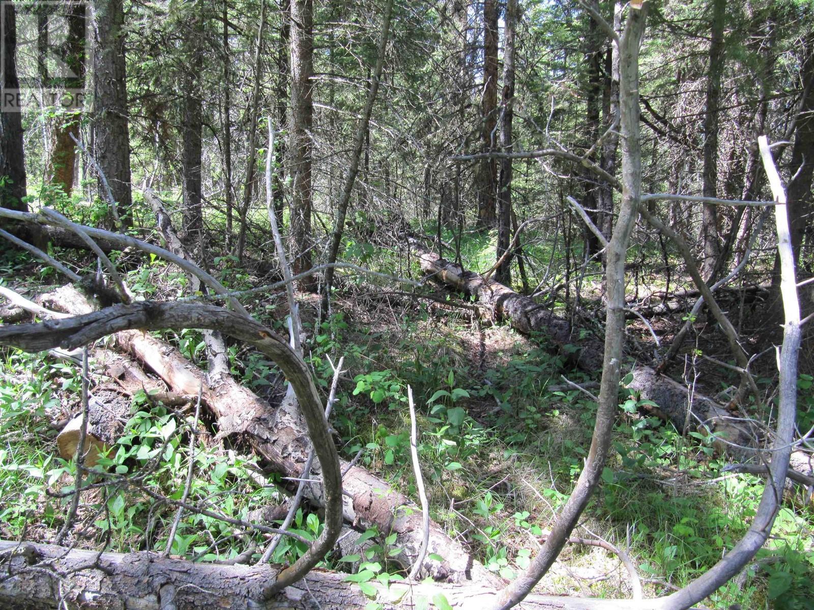 Lots 29 & 30 Mulligan Drive, 100 Mile House, BC