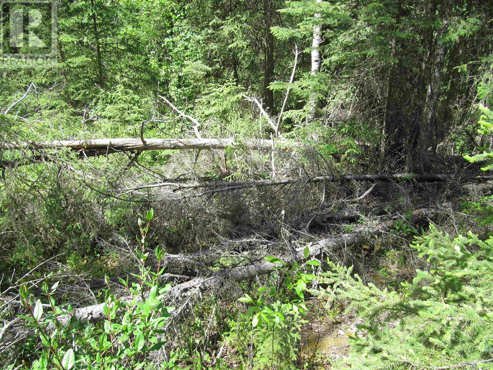 Lots 29 & 30 Mulligan Drive, 100 Mile House, BC