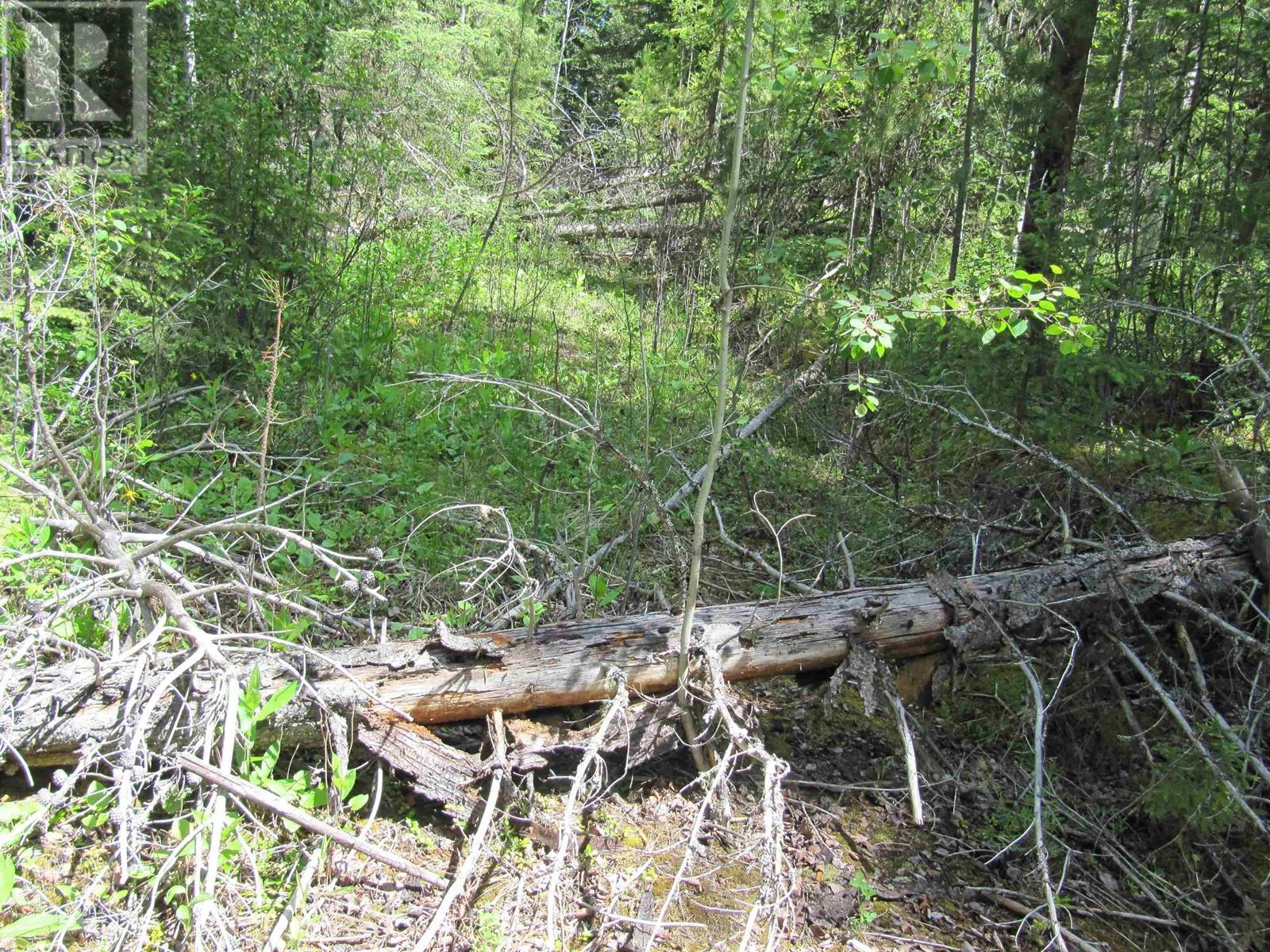 Lots 29 & 30 Mulligan Drive, 100 Mile House, BC