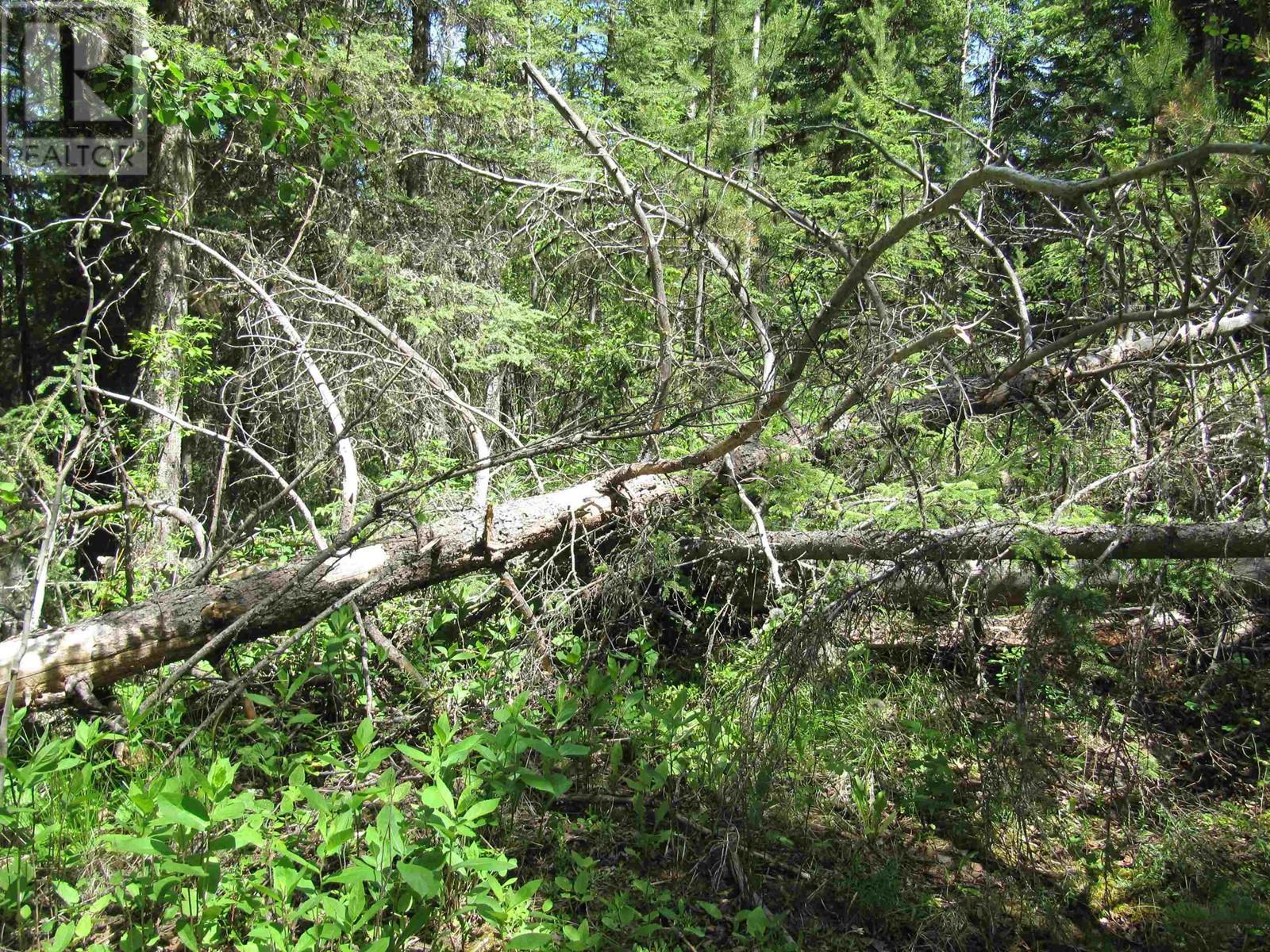 Lots 29 & 30 Mulligan Drive, 100 Mile House, BC