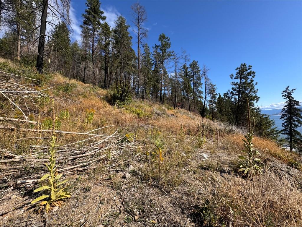 9304 Hodges Road, Vernon, BC - Outdoor With View