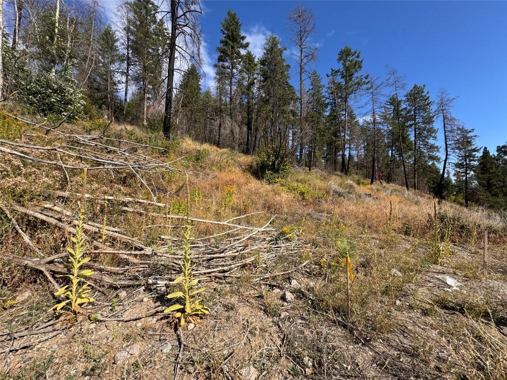 9304 Hodges Road, Vernon, BC - Outdoor With View