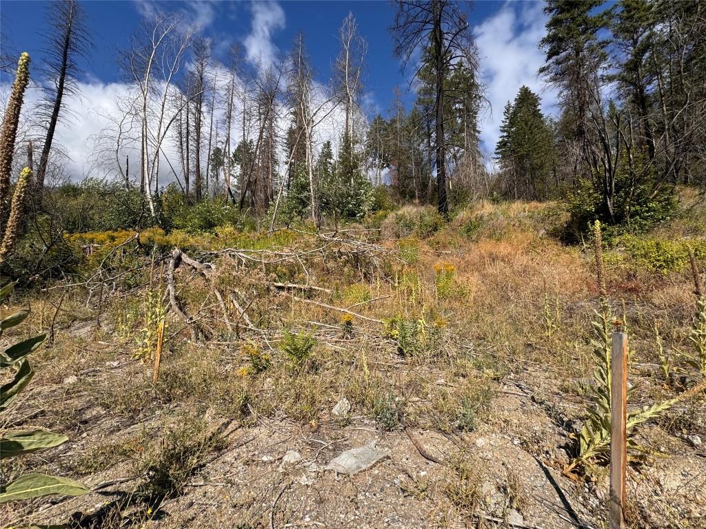 9304 Hodges Road, Vernon, BC - Outdoor With View