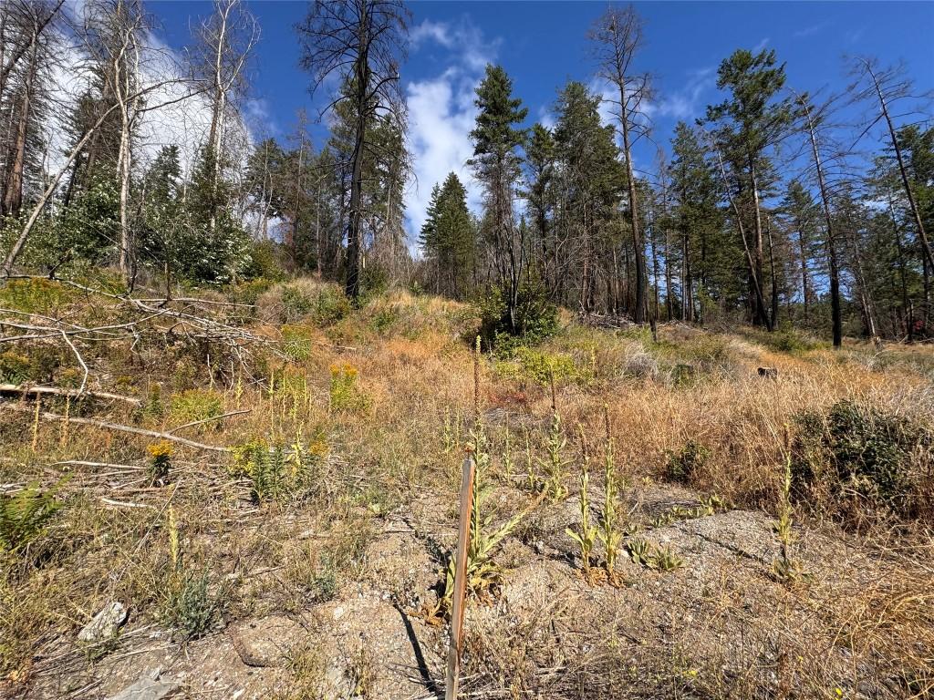 9304 Hodges Road, Vernon, BC - Outdoor With View