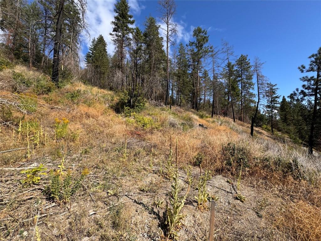 9304 Hodges Road, Vernon, BC - Outdoor With View