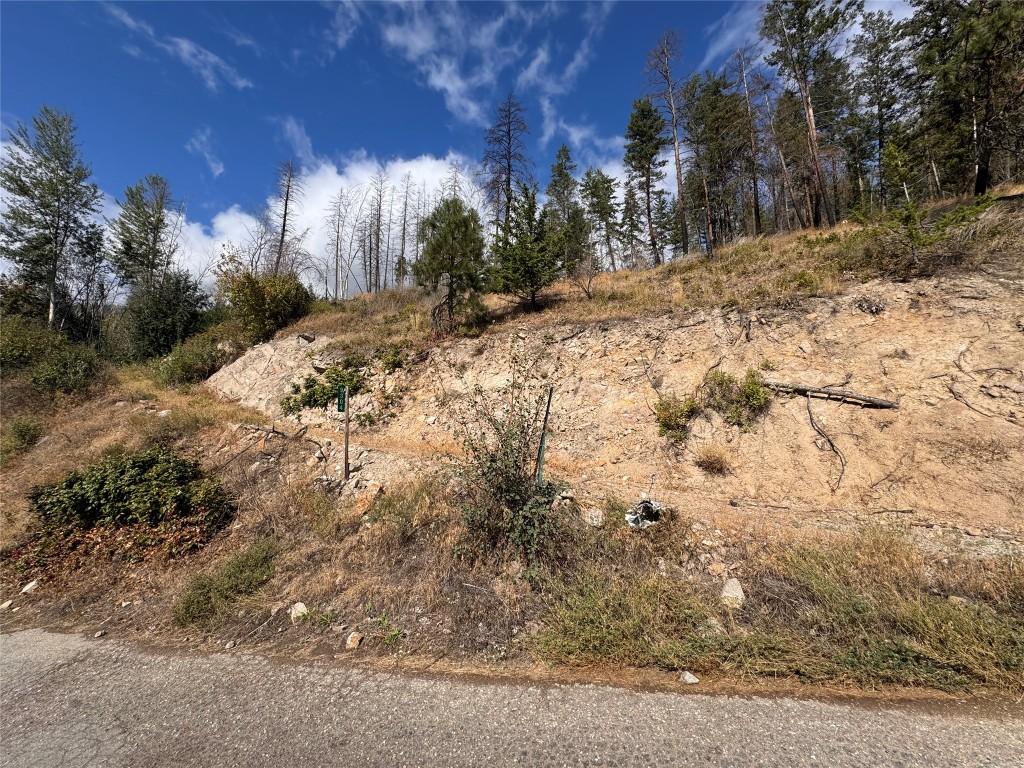 9304 Hodges Road, Vernon, BC - Outdoor With View