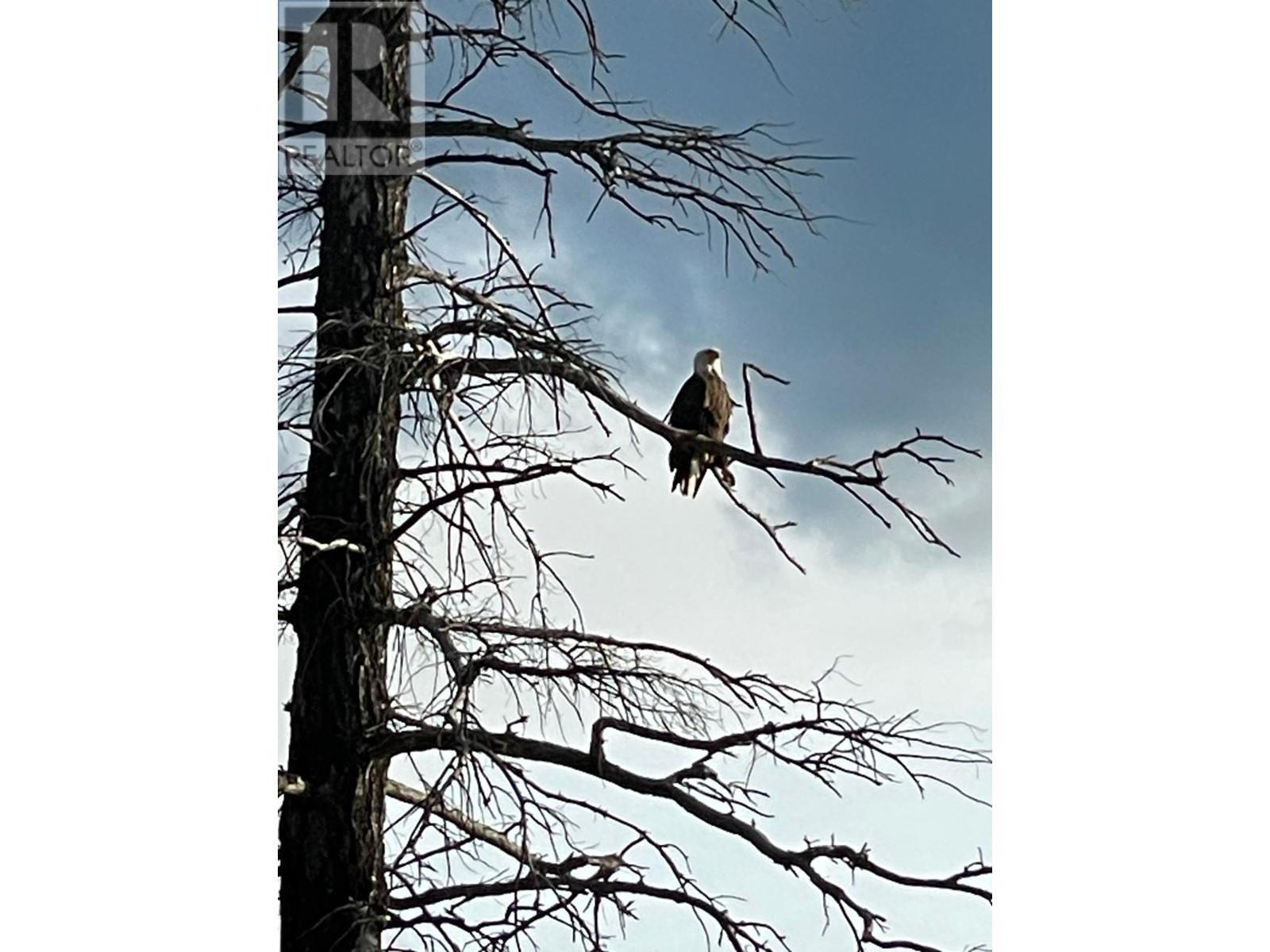 8695 Cottage Lane, Canal Flats, BC