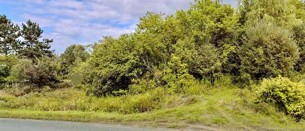 Lot Route 105, Lower Brighton, NB