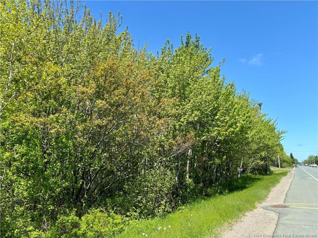 4000 Sqm Rue Principale, Neguac, NB