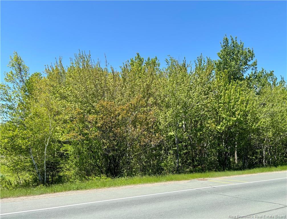 4000 Sqm Rue Principale, Neguac, NB