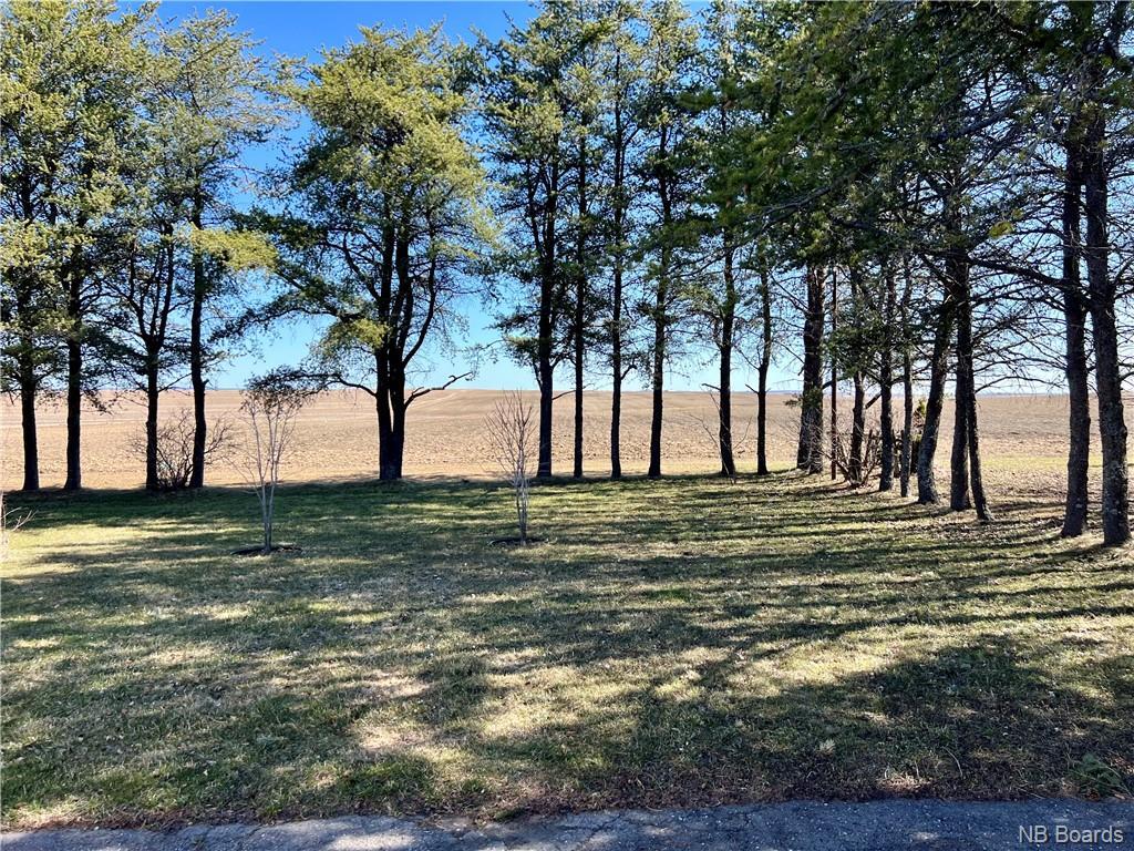 1473 Tobique Rd, Drummond, NB