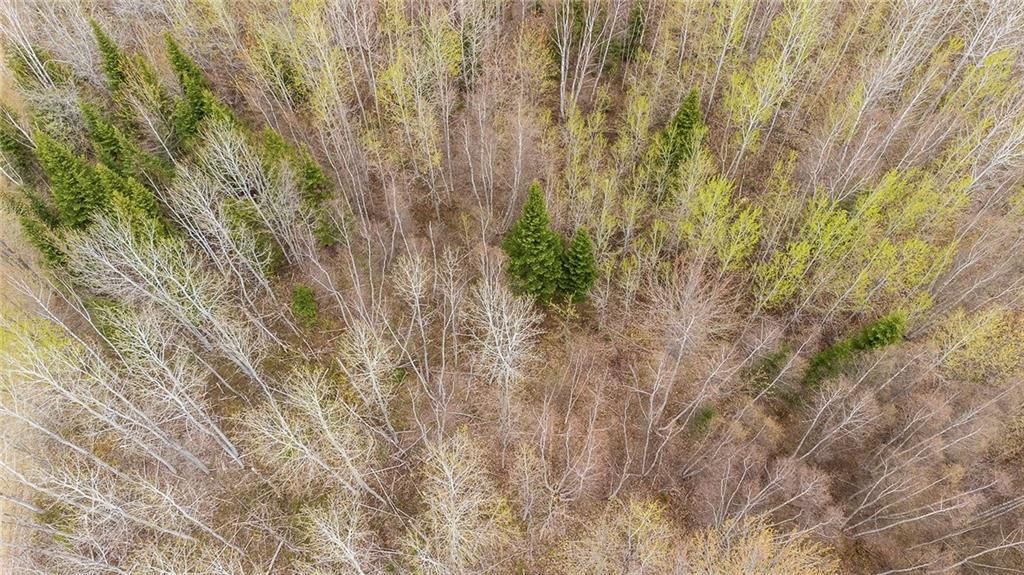 Lot 23-1 Alden Warmen Rd, Bass River, NB