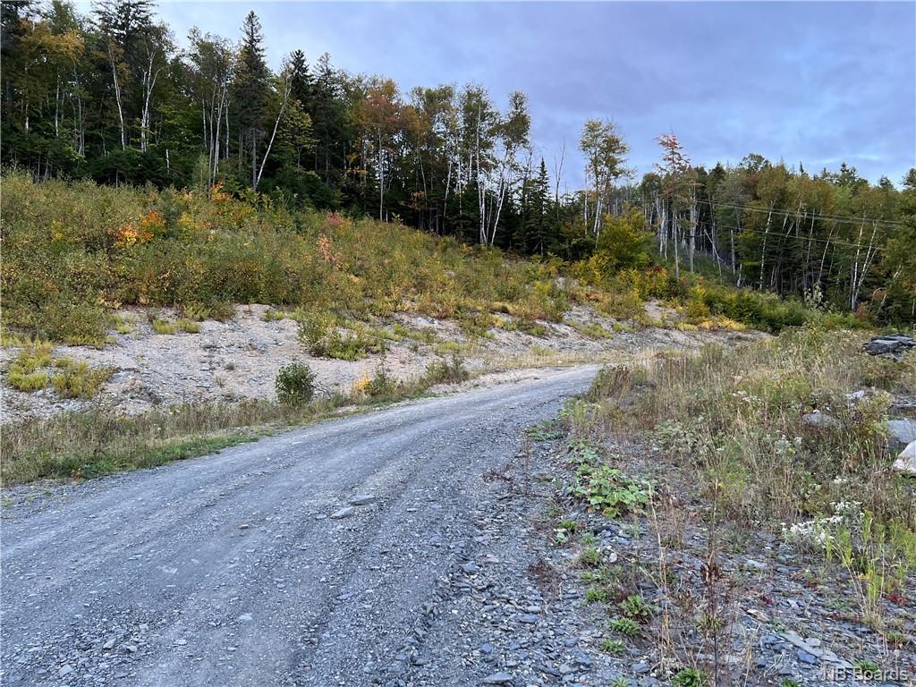 Lot 10 Rue De La Tour, Edmundston, NB