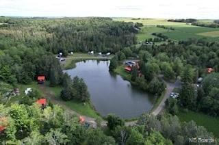 170 Mccluskey Rd, Dsl De Grand-Sault/Falls, NB