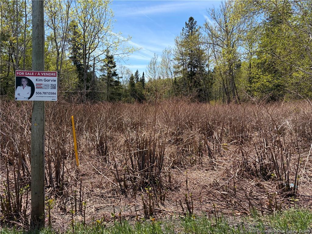 Lot Vacant Route 134, New Mills, NB