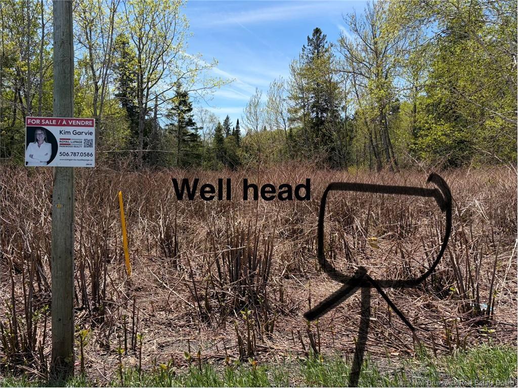 Lot Vacant Route 134, New Mills, NB