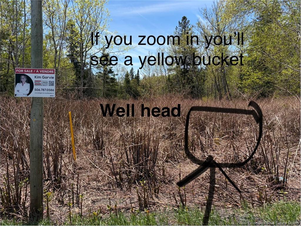 Lot Vacant Route 134, New Mills, NB