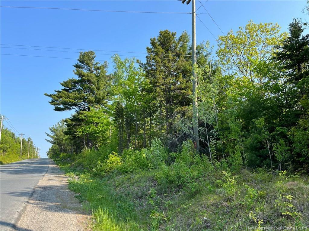 10.2 Acres Hansen Rd, Miramichi, NB