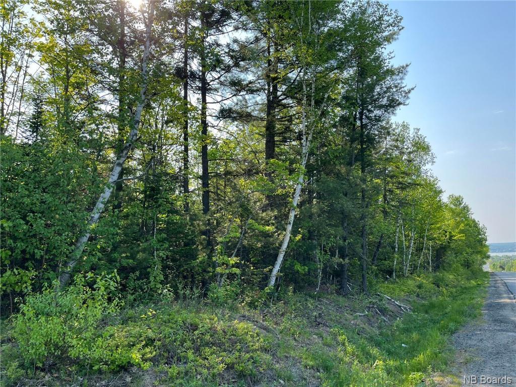 +/- 30 Acres Hansen Rd, Miramichi, NB