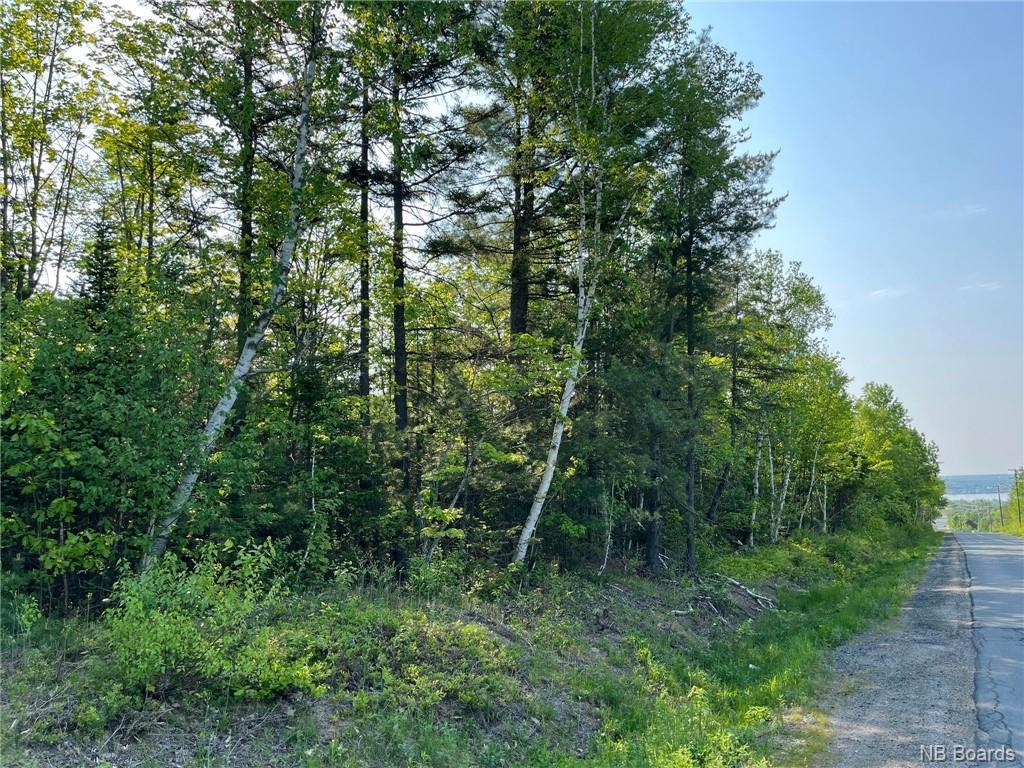 +/- 30 Acres Hansen Rd, Miramichi, NB