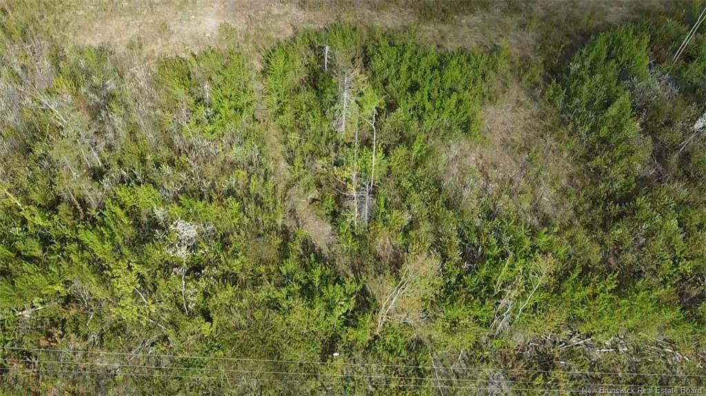 Lot 9 Tobin Rd, Elmwood, NB