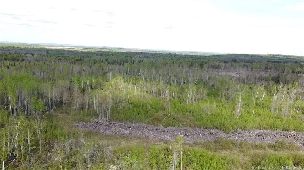 Lot 9 Tobin Rd, Elmwood, NB
