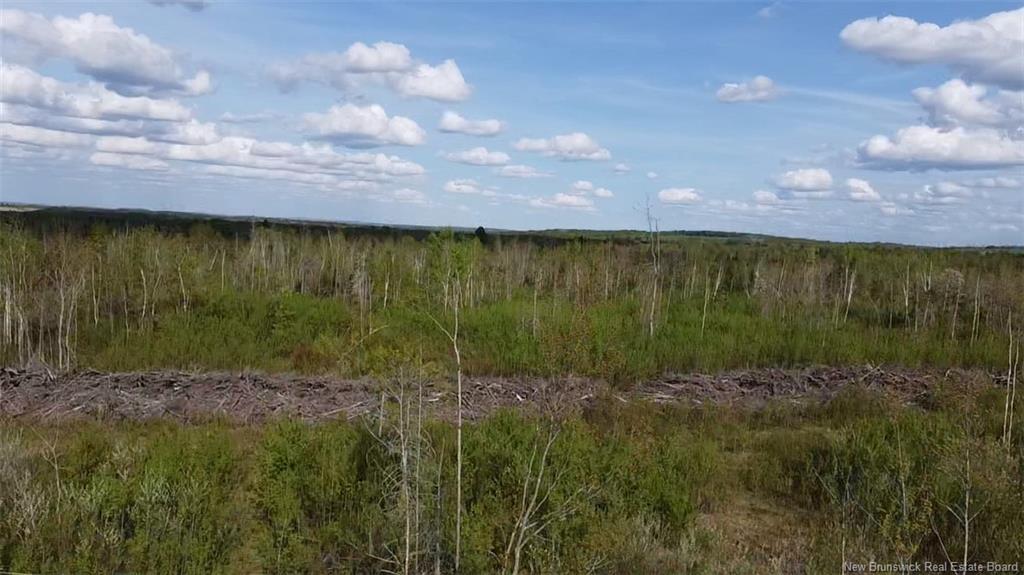 Lot 9 Tobin Rd, Elmwood, NB