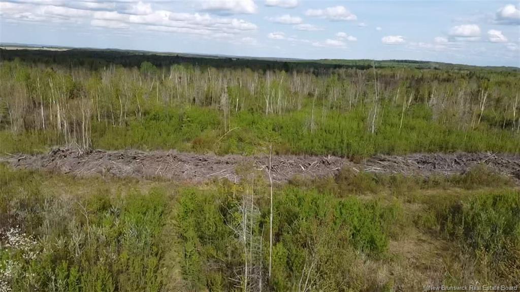 Lot 9 Tobin Rd, Elmwood, NB
