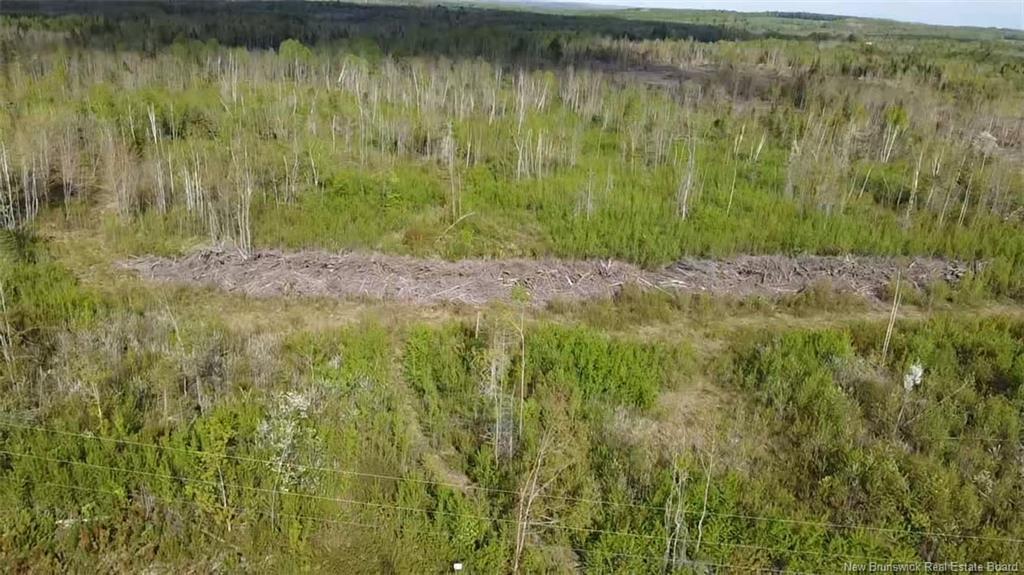 Lot 9 Tobin Rd, Elmwood, NB