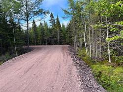 2725 mc Route 350 Pokemouche, NB E8P 1L2