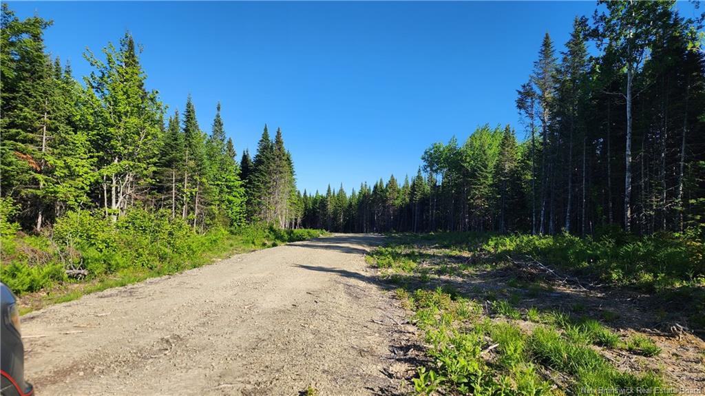 Lot2022-3 Church River Rd, Lavillette, NB