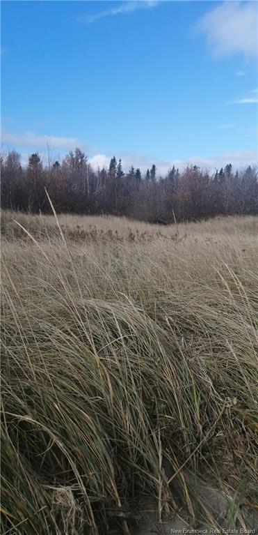 Lot 2 Robichaud, Pointe-Sapin, NB