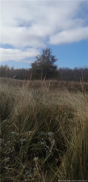 Lot 2 Robichaud, Pointe-Sapin, NB