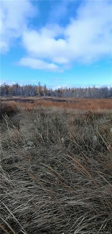 Lot 2 Robichaud, Pointe-Sapin, NB