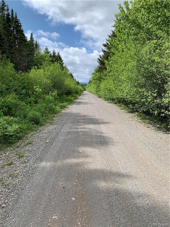 Lot 15-B Burchills Flats, St. Martins, NB