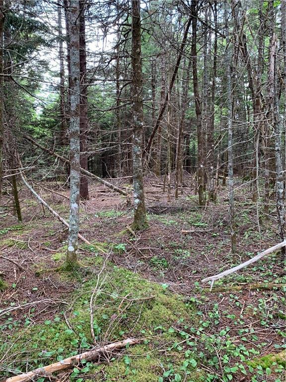 Lot 15-B Burchills Flats, St. Martins, NB