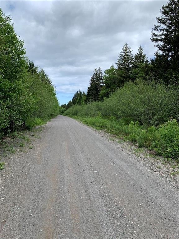 Lot 15-B Burchills Flats, St. Martins, NB