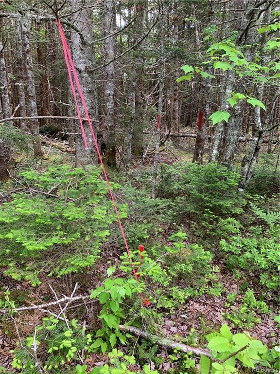 Lot 15-B Burchills Flats, St. Martins, NB