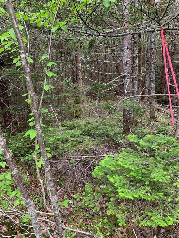 Lot 15-B Burchills Flats, St. Martins, NB