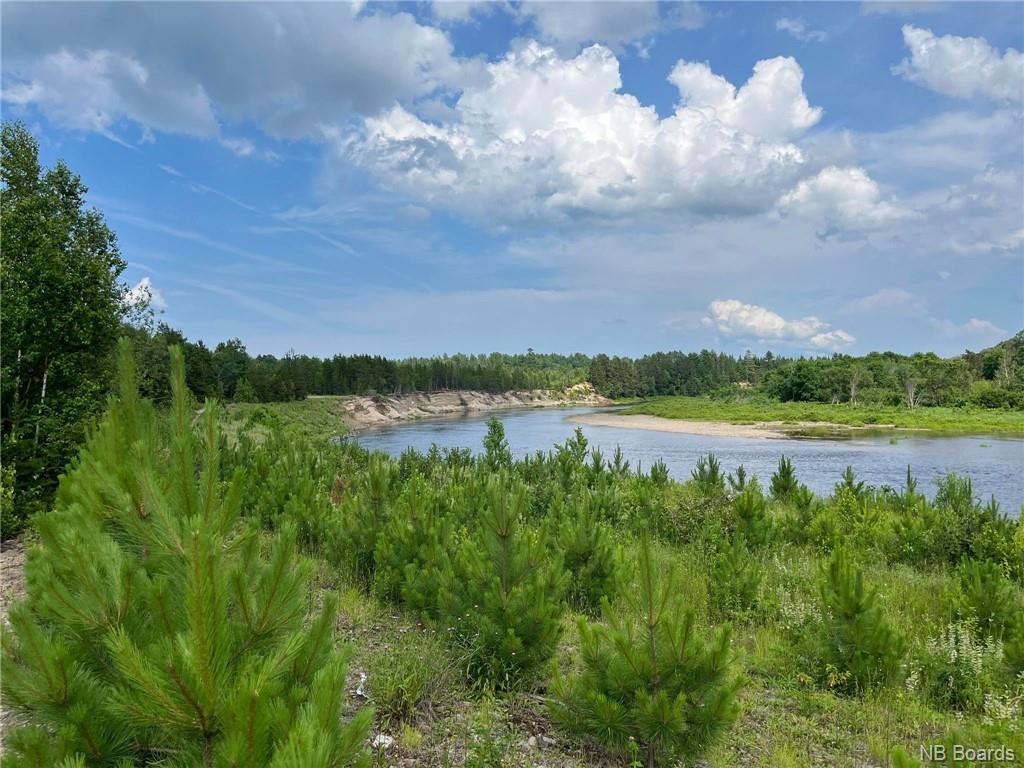 Lot 99-1 Red Pine Lane, Sillikers, NB