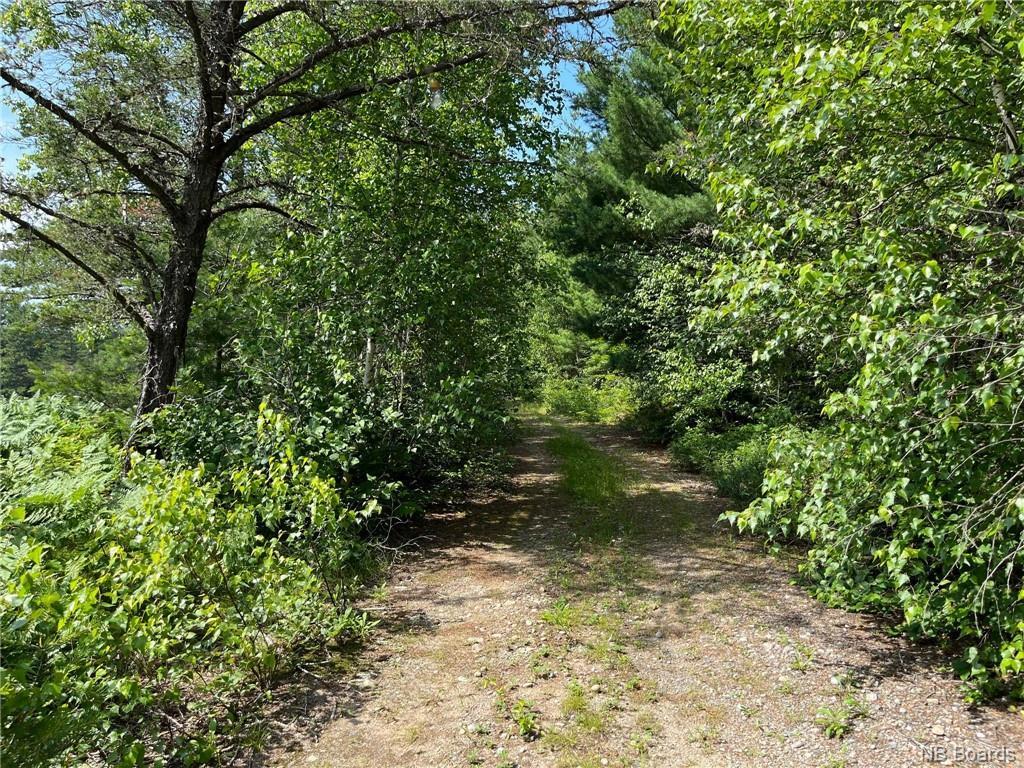 Lot 99-1 Red Pine Lane, Sillikers, NB