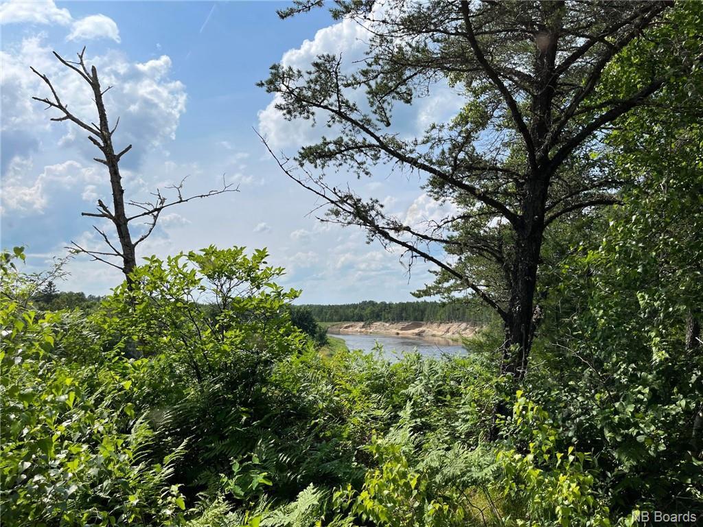 Lot 99-1 Red Pine Lane, Sillikers, NB