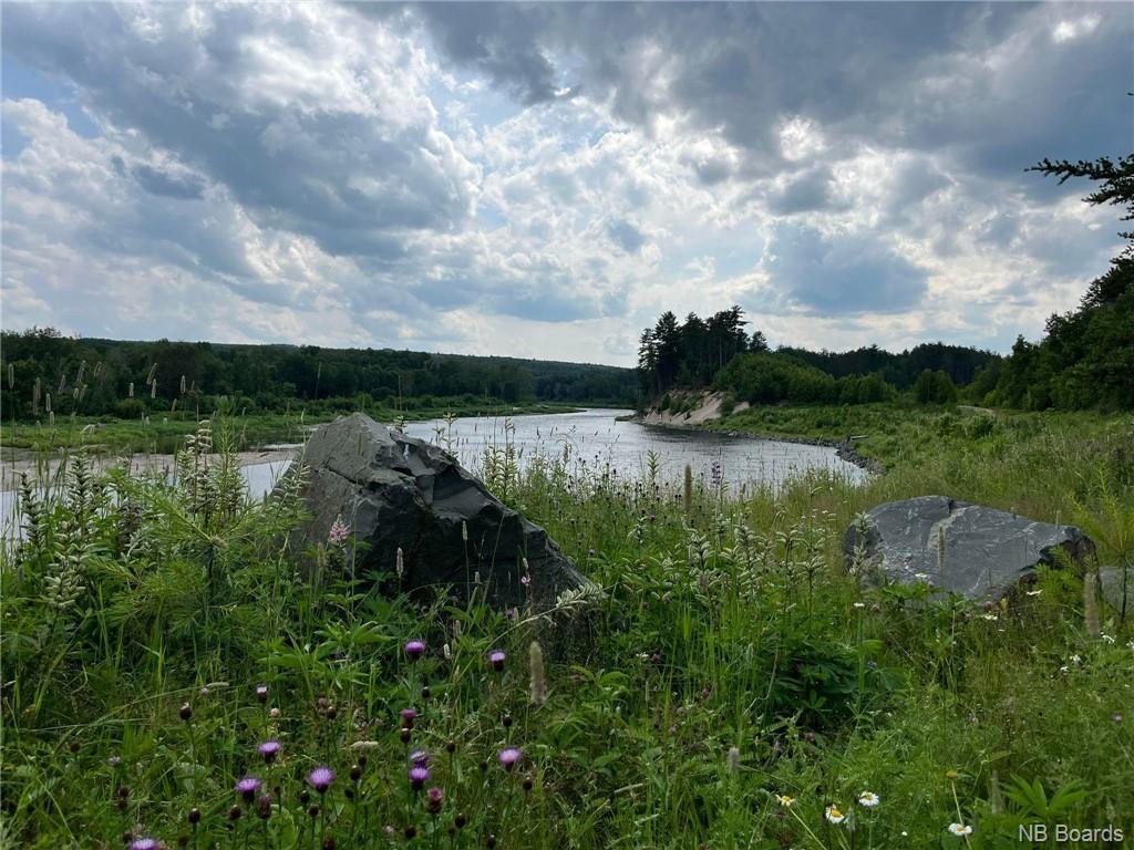 Lot 99-1 Red Pine Lane, Sillikers, NB