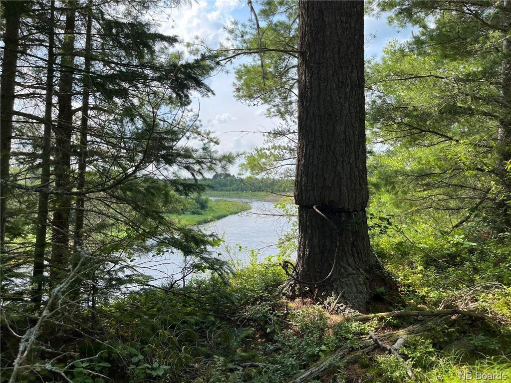 Lot 99-1 Red Pine Lane, Sillikers, NB