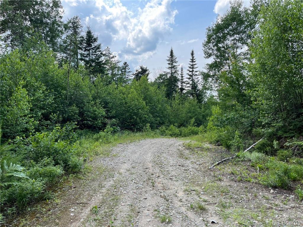 75 Acres Johnson Bridge Rd, Sillikers, NB