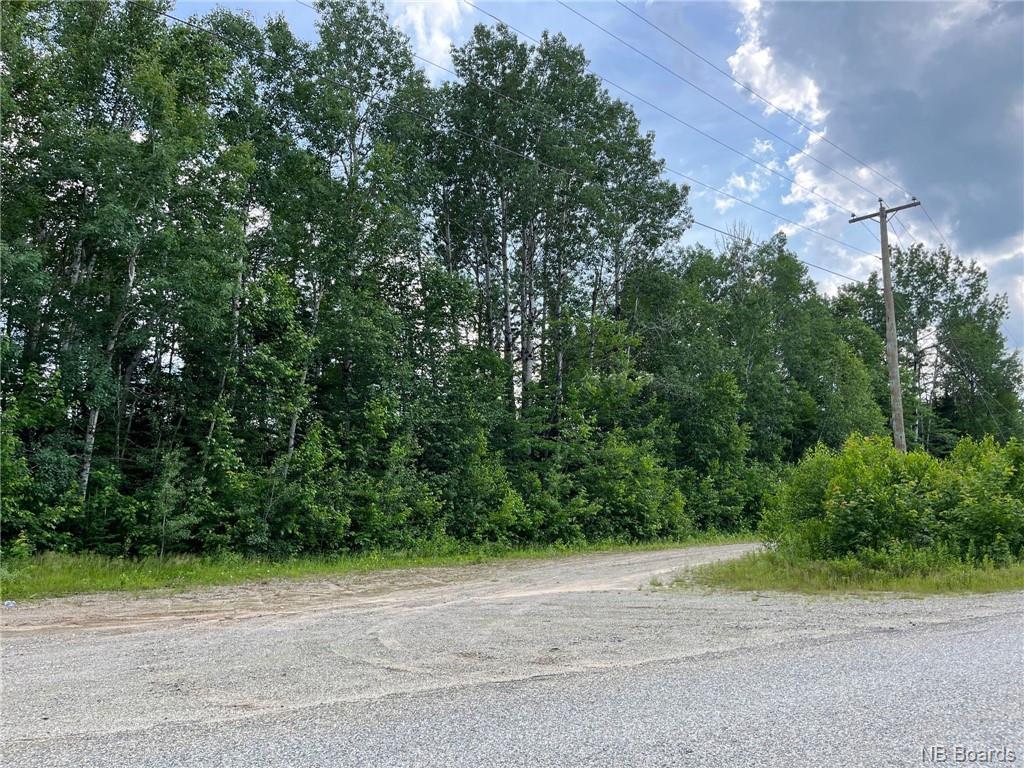 75 Acres Johnson Bridge Rd, Sillikers, NB