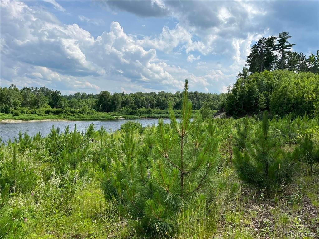 75 Acres Johnson Bridge Rd, Sillikers, NB
