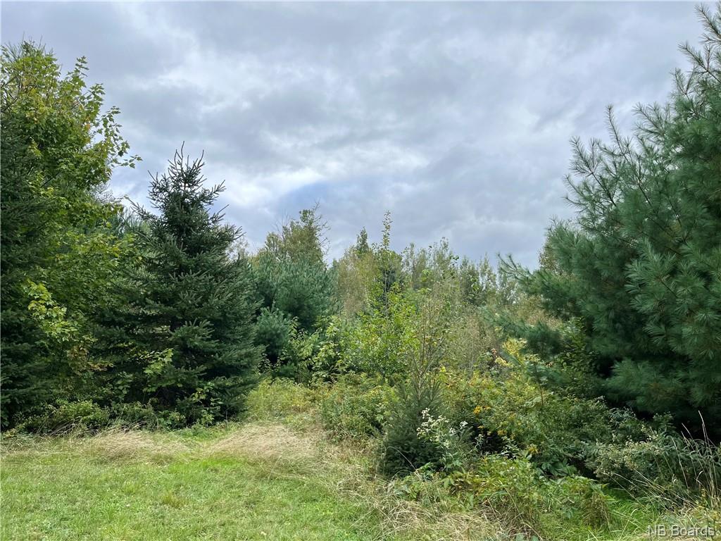 2 Acres Craigville Rd, Miramichi, NB