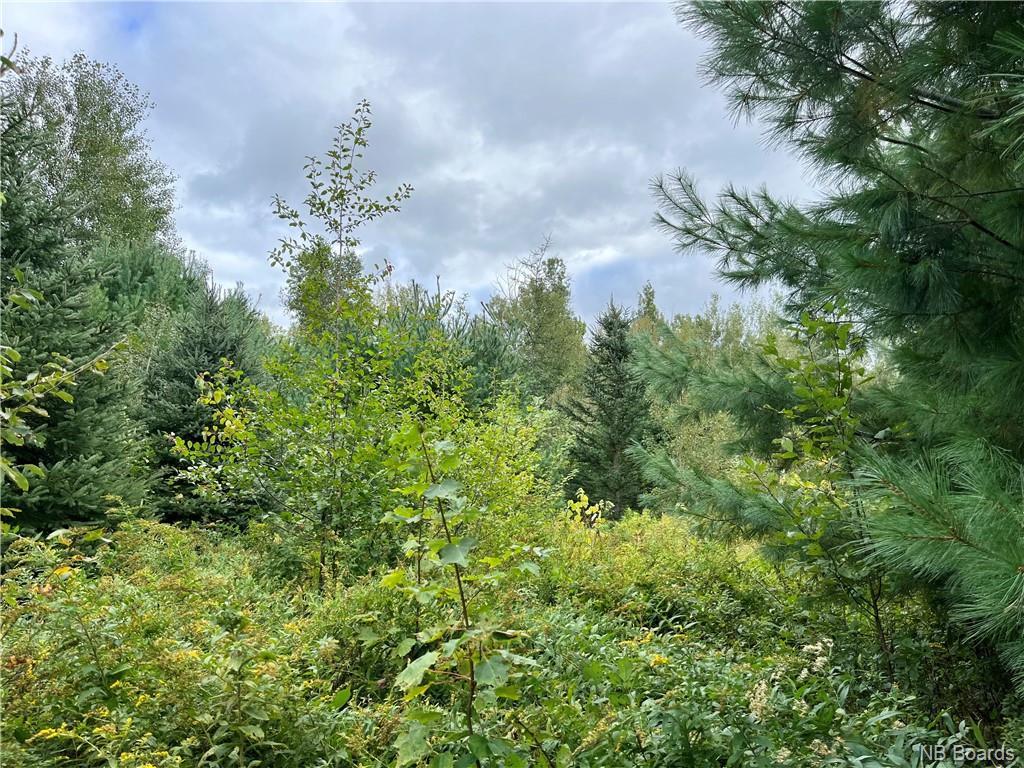 2 Acres Craigville Rd, Miramichi, NB